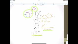 Glycolipids [upl. by Aronaele]