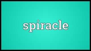 Spiracle Meaning [upl. by Glenna]