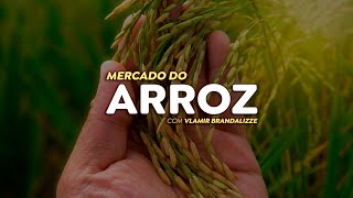 Consumo de arroz é menor que o esperado e mercado doméstico fica pouco atrativo [upl. by Cyndie]