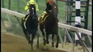 1989 Preakness Stakes  Easy Goer vs Sunday Silence [upl. by Jemmie]