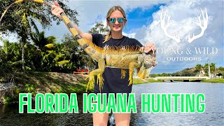 Iguana Hunting In Florida [upl. by Nur]