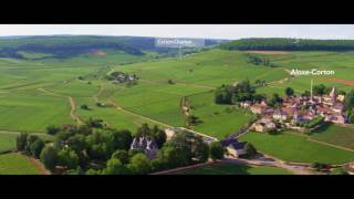 The vineyard of Bourgogne seen from the sky [upl. by Arracat]