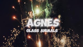 Glass Animals  Agnes  Cover song with lyrics video [upl. by Aholah880]