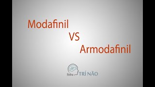 Armodafinil vs Modafinil Việt Sub [upl. by Adrian939]