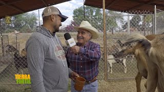 Tierra Fértil Tv  Producción caprina y sus derivados  170224 [upl. by Rimaa]