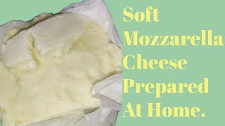 SOFT MOZZARELLA CHEESE 🌟  EASY CHEESE RECIPE  PREPARED AT HOME  CHEESY CHEESE [upl. by Nabe]