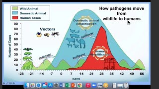 Zoonotic disease Infections epidemiology prevention  Microbiology [upl. by Ynaffets]