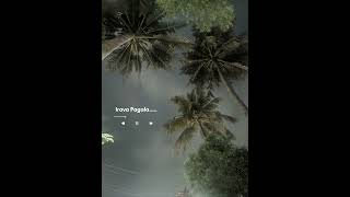 Irava Pagala Tamil Song WhatsApp Status  Melancholic Love Vibes [upl. by Lahey]