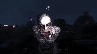 Dying Light 2 Update Made the Nights Harder but They Made Me Faster [upl. by Asin160]