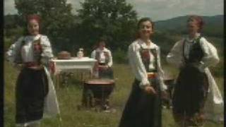 andreea ardelean nialcose ca s din bihor [upl. by Annaitsirk]