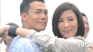 法網追擊 Friendly Fire TVB Song  quotSayonaraquot cover [upl. by Joan]