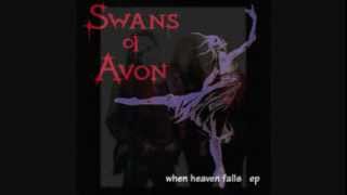 SWANS OF AVON  When Heaven Falls [upl. by Aisul702]