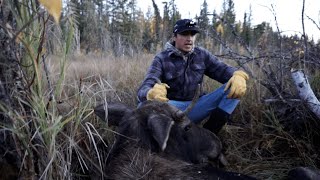 Saskatchewan Moose Hunt  Sept 29th [upl. by Flory]