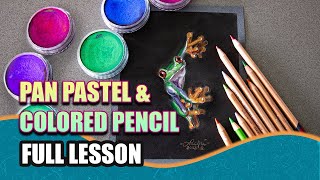 Full Art Lesson Drawing a Red Eyed Tree Frog w Pan Pastels amp Colored Pencil [upl. by Ayenet]