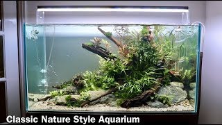 Nature Aquarium Aquascape Tutorial  Low Maintenance Home Aquascape Step by Step [upl. by Gilson]