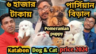 Katabon animal market in bangladeshKeeshond dogPomeranian dog Persian Cat Dog and cat price 2023 [upl. by Atirb725]