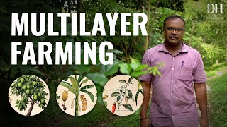 How multilayer farming made this farm profitable [upl. by Yadseut]