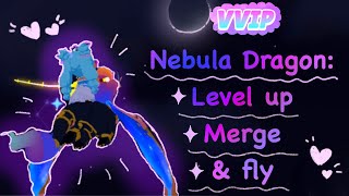 Merging amp Flying My Nebula Dragon ✨🌙 PlayTogether [upl. by Ainolopa]