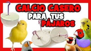 COMO HACER BLOQUES DE CALCIO CASEROS para CANARIOS y PAJAROS EXOTICOS 🐤 [upl. by Leinahtam]