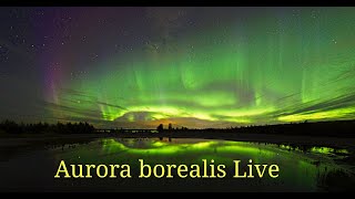 Norther lights  Aurora borealis live Oulu Finland [upl. by Ymassej]