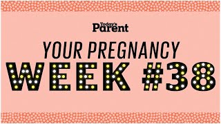 Your pregnancy 38 weeks [upl. by Eciened]