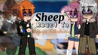 Sheep React to Chuuya Nakahara12Full vidSoukokuNot Canon [upl. by Saiff]