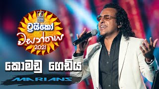 Komadu Gediya  කොමඩු ගෙඩිය   Trico වසන්තය with MARIANS [upl. by Artened]