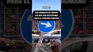 los animales más olvidados [upl. by Noli440]