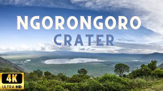 4K African Wildlife Documentary  Ngorongoro Crater The Eighth Wonder of the World [upl. by Bekelja]