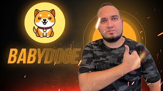 THE BEST PROJECT 🔥 BABY DOGE 🔥 X1000 POTENTIAL 🔥 [upl. by Vonni]