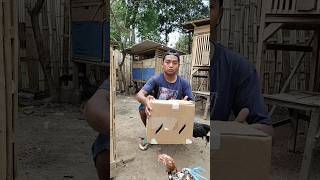 Kedatangan Paket Penghuni Kandang BaruJufri BolangHoby Ayam Jago [upl. by Htiaf]