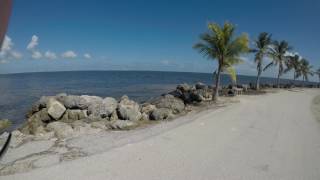 Matheson Hammock Park [upl. by Assej610]