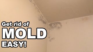 How to Get Rid of Mold in the Bathroom Easy [upl. by Pentha787]