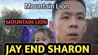 viral video Mountain lion Jay end Sharon di tik tok [upl. by Shaffert]