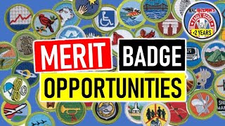 Finding MB Opportunities  How To Begin Merit Badges [upl. by Wolfy]