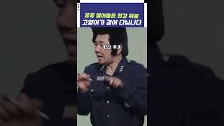 자막ver 꽁꽁 얼어붙은 한강 위로 고양이가 걸어 다닙니다  개그콘서트 Gagconcert shorts [upl. by Jelena]