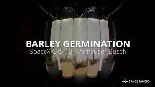 Barley Germination in Microgravity [upl. by Esina]