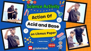 acid base testing using litmus paper [upl. by Ardnusal]