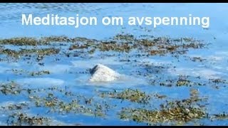 Avspenning  en guidet meditasjon [upl. by Jaela135]