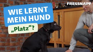 Hundekommando Platz  So lernt euer Hund quotPlatzquot [upl. by Areip]