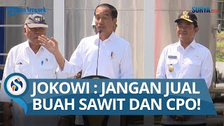 Pesan Jokowi ke Petani Sawit di Deli Serdang Jangan Jual Buah Sawit dan CPO [upl. by Ahseiuqal354]