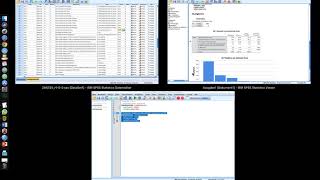 009 Häufigkeitsanalyse für nominale Variablen in SPSS [upl. by Frasch]