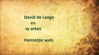 David de Lange en sy orkes  Hannetjie wals [upl. by Hogle830]