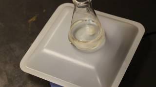 Silver Nanoparticle Synthesis [upl. by Aydne]