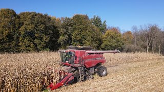 Case IH 8120 Combine on Tracks [upl. by Abernon86]