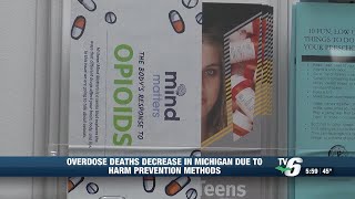 UP health professionals respond to overdose death rate decrease in Michigan [upl. by Hoeg]