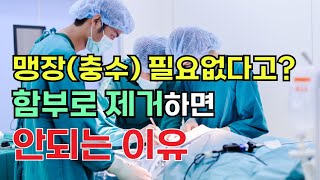 맹장충수를 제거하면 면역이 약해진다고 맹장염충수염을 관리해야하는 핵심 이유 [upl. by Nataline]