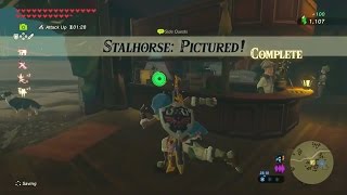 Zelda Breath of the Wild  Stalhorse Pictured Side Quest  Hebra Tower Region [upl. by Rehpotsirc645]