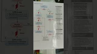 Adult cardiac arrest algorithm  cardiac arrest [upl. by Mcloughlin]