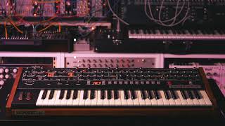 Sequential Prophet 6 Presets Audiotent Techno Melodic Progressive House [upl. by Bensen280]